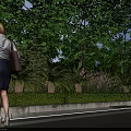 Municipal Road With Lush Green Trees Ferns Bushes And Pedestrian Walking On Sidewalk