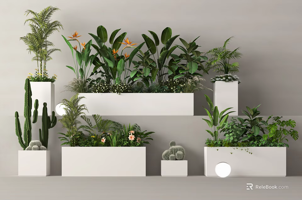 Bonsai and Potted Plants with Various Green Foliage in White Containers for Indoor Decoration 3d model 