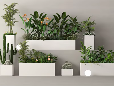 Bonsai and Potted Plants with Various Green Foliage in White Containers for Indoor Decoration 3d model