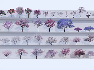 Colorful Trees on Multiple Shelves with Various Forms and Purple Pink Blue White Canopies 3d model