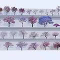 Colorful Trees on Multiple Shelves with Various Forms and Purple Pink Blue White Canopies