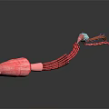 Detailed Organ And Hair Structure 3D Rendering With Red Tubular Elements On Dark Background