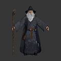 Wizard Character With Long White Beard Pointed Hat Gray Robe And Wooden Staff