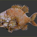 Mythical Fish Skeleton Creature With Anatomical Organs And Hair Like Scales