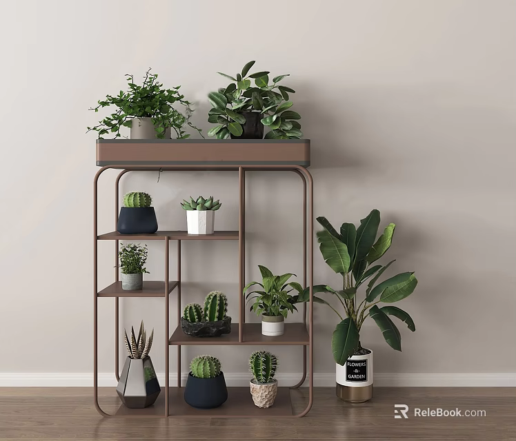 Indoor Bonsai Potted Plants Display on Wooden Metal Shelf with Cacti Succulents Large Leafy Greens 3d model 