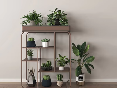 Indoor Bonsai Potted Plants Display on Wooden Metal Shelf with Cacti Succulents Large Leafy Greens 3d model