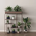 Indoor Bonsai Potted Plants Display on Wooden Metal Shelf with Cacti Succulents Large Leafy Greens