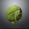Fresh Green Cabbage With Vibrant Leaves Round Shape On Dark Background
