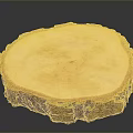 Natural Plant Wood Slice With Round Shape Annual Rings And Bark Edges