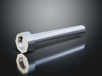 Durable Silver Hex Socket Hardware Tool with Smooth Reflective Metal Surface 3d model