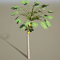 Papaya Tree With Ripe Yellow Fruits And Green Leaves In Growth Stage