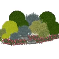 Colorful Garden Shrubs With Green Blue Yellow Foliage Pink Flowers And Stones