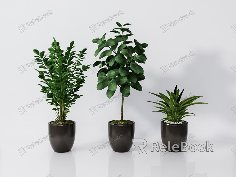 modern potted plant green plant potted plant model