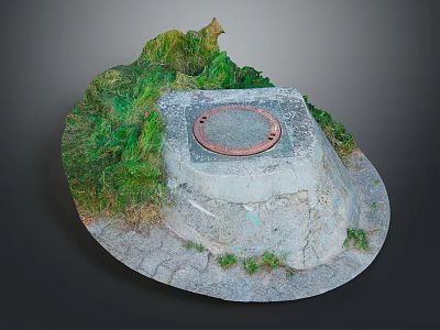 Manhole Cover On Concrete Base With Surrounding Green Grass Growth 3d model