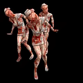 Three Game Movie Zombie Characters With Bloodstained Tattered Skin Walking Running 3d model