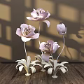 Modern Floral Display With Pink Flowers White Stems And Wall Shadow Patterns On Wooden Floor