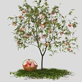 Peach Tree With Ripe Peaches Hanging And Basket Of Peaches On Green Grass