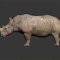 Brown Rhinoceros Standing On Smooth Surface With Reflection In Dark Background 3d model