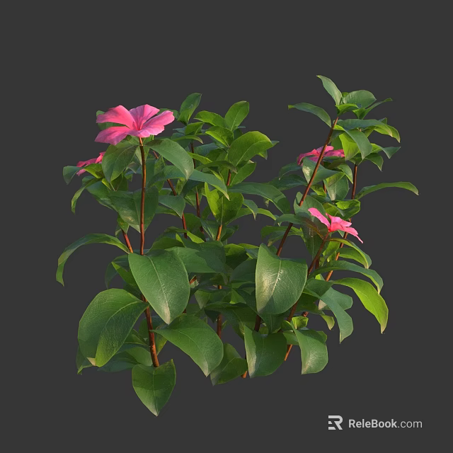 Lush Green Plants With Vibrant Pink Flowers And Fresh Leaves 3d model 
