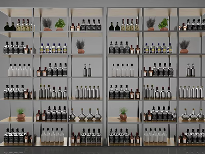 Modern Storage Shelving Unit With Various Bottles And Green Plants Display Arrangement 3d model