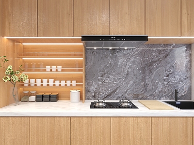 Modern Kitchen model