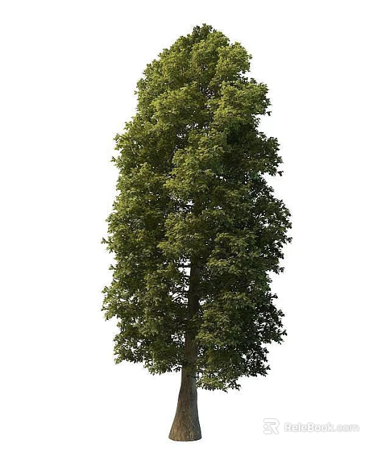 Modern Tech Exhibition Hall Featuring Lush Green Trees And Digital Exhibits 3d model 