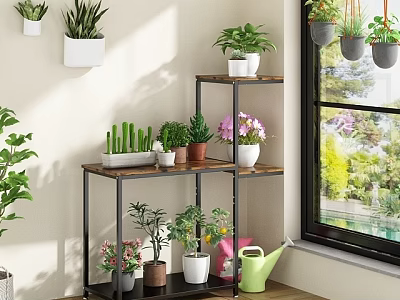 Multi Tiered Wooden Metal Shelf with Potted Plants for Indoor Window 3d model