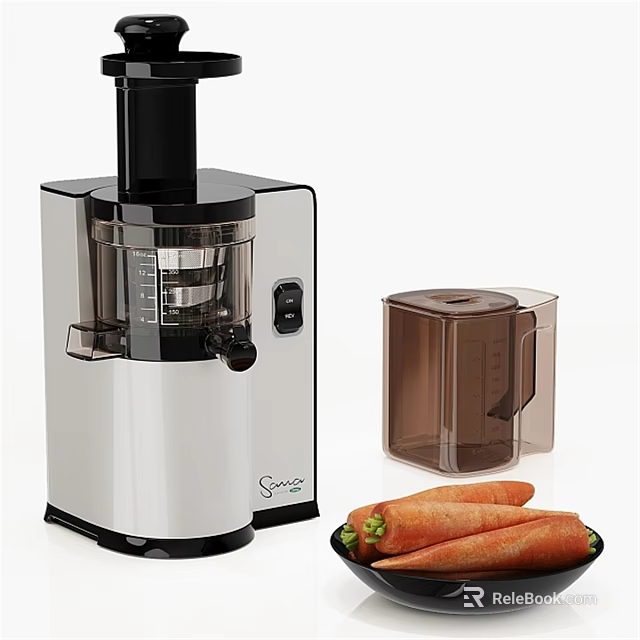 Stainless Steel Electric Juicer With Fresh Carrots And Storage Container 3d model 