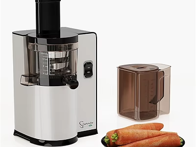 Stainless Steel Electric Juicer With Fresh Carrots And Storage Container 3d model