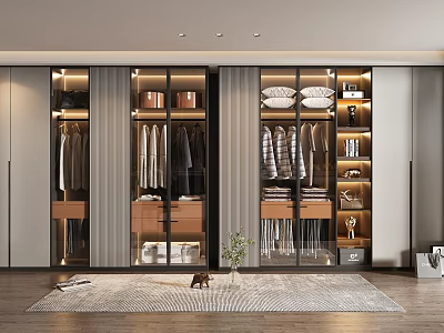 Modern Wardrobe Interior With Glass Doors Hanging Clothes Drawers Storage Boxes And Decorative Plates 3d model