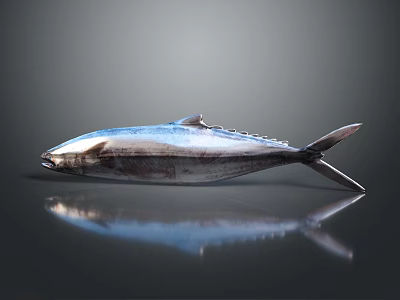 Whole Fresh Tuna Fish With Shiny Metallic Blue Skin On Reflective Surface 3d model