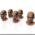 Male Bald Head 3D Models Displayed From Multiple Angles With Realistic Facial Features