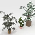 Three Different Potted Plants in Various Containers Against White Background