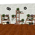 Charming Garden Decor with Wooden Plant Stands Various Plants and Black Circular Wall Decor