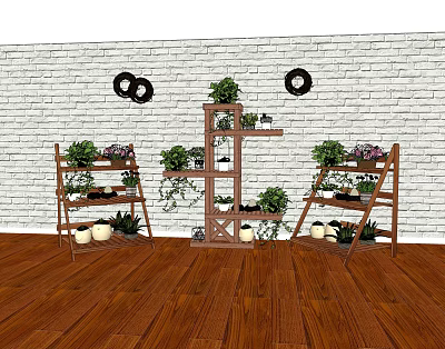 Charming Garden Decor with Wooden Plant Stands Various Plants and Black Circular Wall Decor 3d model