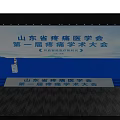 Shandong First Precision Medicine Academic Conference with Stage Seats and Venue Setup