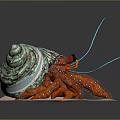 Vibrant Red Hermit Crab With Blue Spotted Claws And Turquoise Shell On Sandy Base