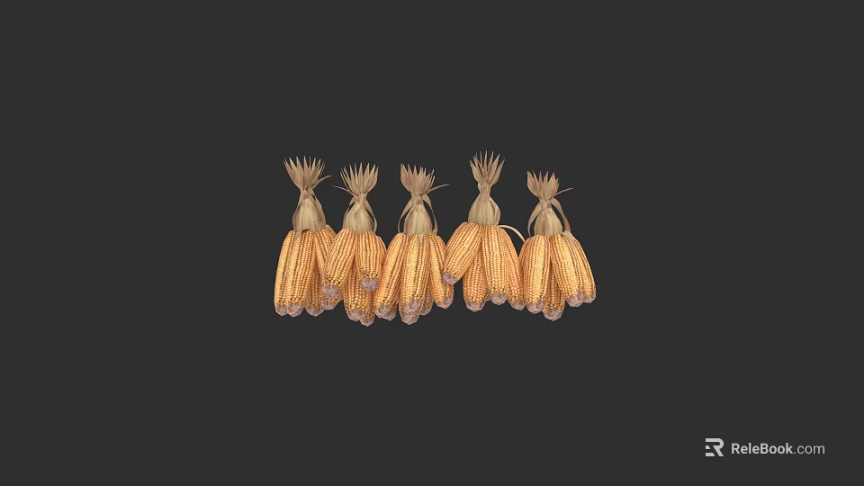 Mature Yellow And Brown Corn Cobs Bundled Arranged On Black Background 3d model 