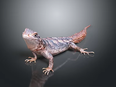 Exotic Lizard With Unique Patterned Scales And Long Tail On Smooth Surface 3d model