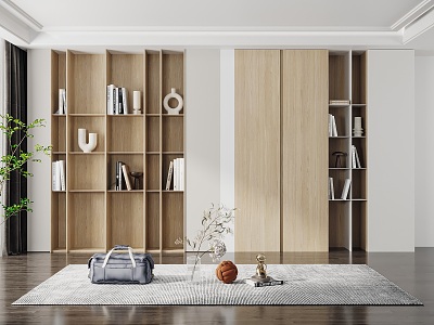 Modern bookcase model