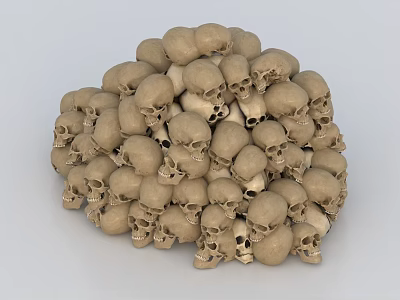 Medical Device Skull Anatomical Teaching Model Used in Medical Educational Training Programs 3d model