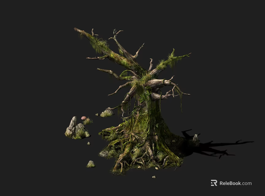 Moss Covered Tree With Twisted Trunk Branches And Stones 3d model 