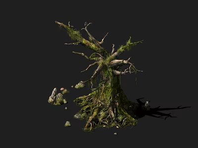 Moss Covered Tree With Twisted Trunk Branches And Stones 3d model