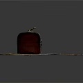 Vintage Display Shelf Featuring Red Black Leather Trunk with Metal Lock on Woven Mat