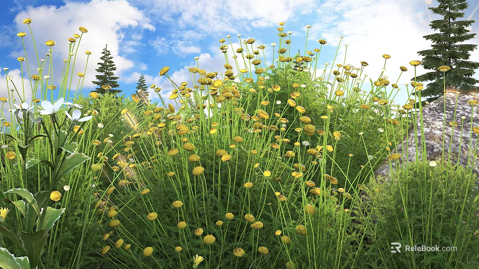 Blooming Yellow Flowers With Green Stems In Natural Garden Under Blue Sky And White Clouds 3d model 