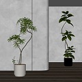 Modern Green Plant Potted Plant Green Plant Potted Plant 3d model