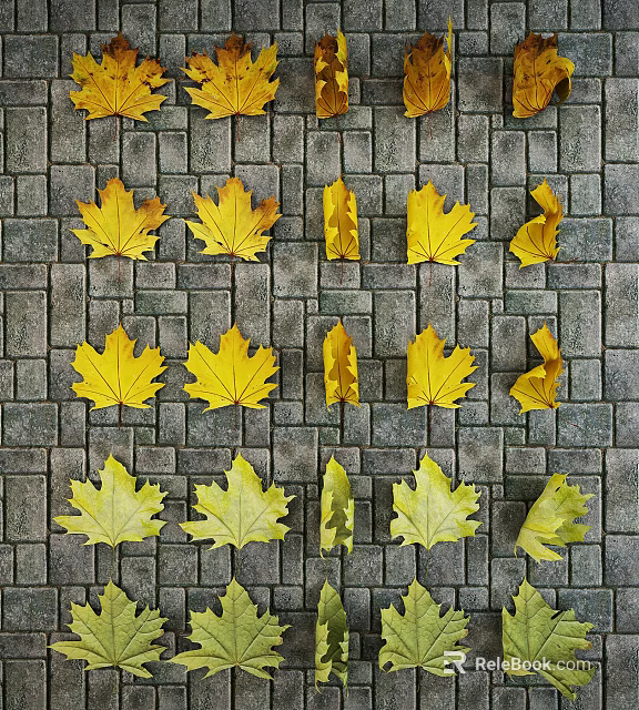 Yellow Maple Leaves Arranged on Gray Brick Pavement with Natural Pattern 3d model 