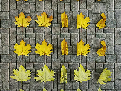 Yellow Maple Leaves Arranged on Gray Brick Pavement with Natural Pattern 3d model
