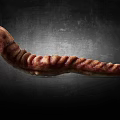 Detailed Reptile Tail With Ridged Wrinkled Surface On Dark Textured Backdrop