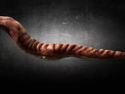 Detailed Reptile Tail With Ridged Wrinkled Surface On Dark Textured Backdrop 3d model